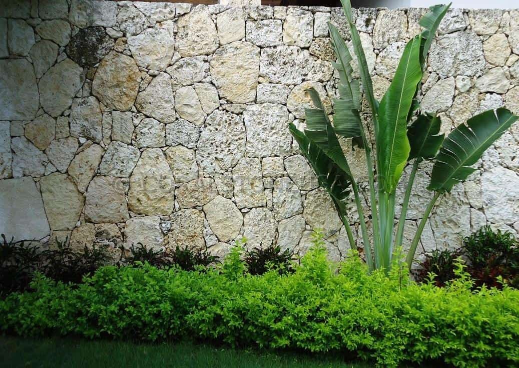 Stone Wall Feature