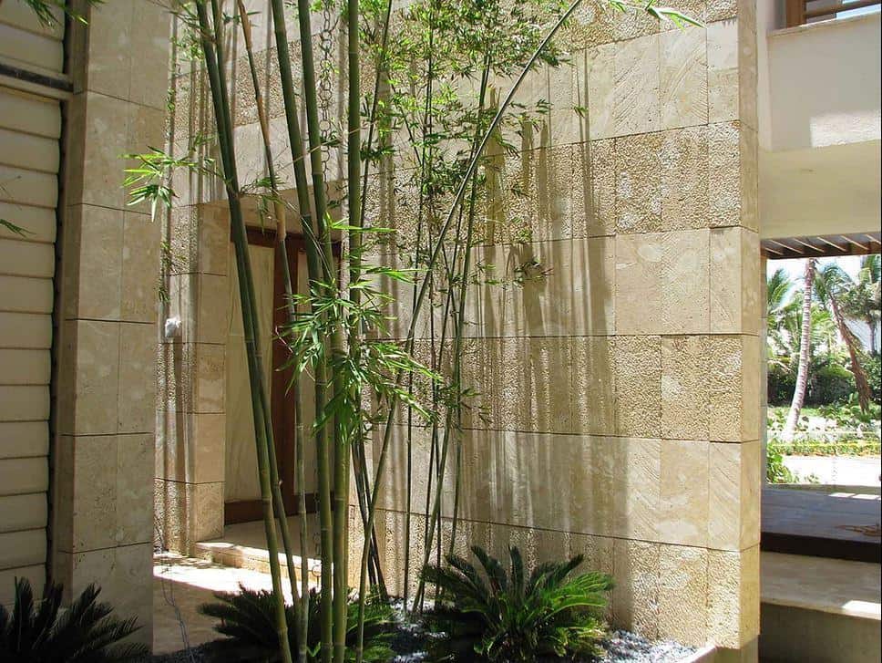 Beige Coral Stone Veneer